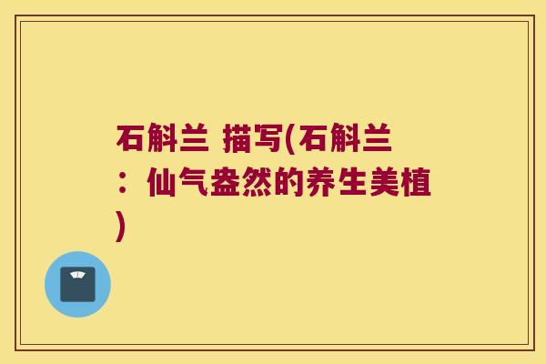 石斛兰 描写(石斛兰：仙气盎然的养生美植)