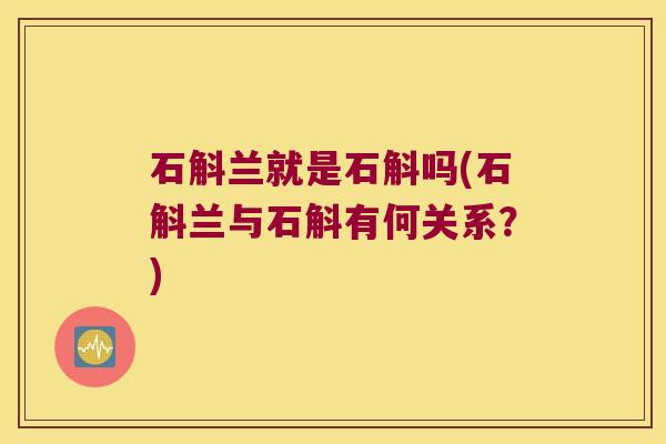 石斛兰就是石斛吗(石斛兰与石斛有何关系？)