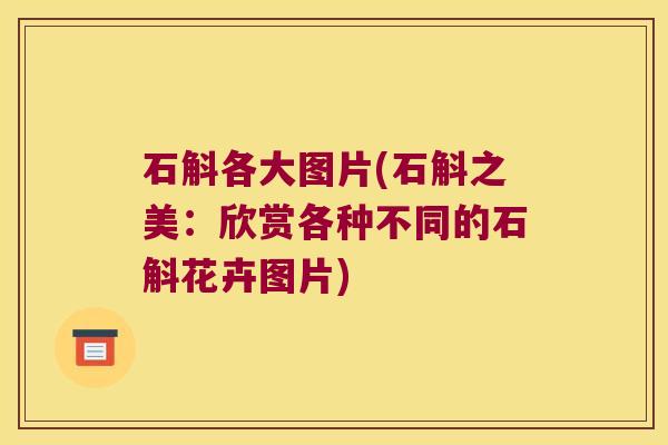 石斛各大图片(石斛之美：欣赏各种不同的石斛花卉图片)