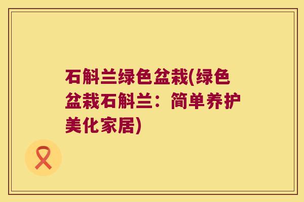 石斛兰绿色盆栽(绿色盆栽石斛兰：简单养护美化家居)