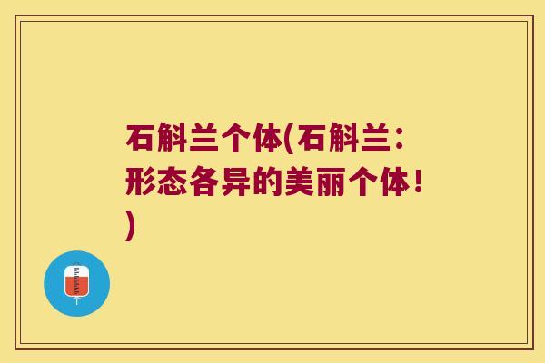 石斛兰个体(石斛兰：形态各异的美丽个体！)