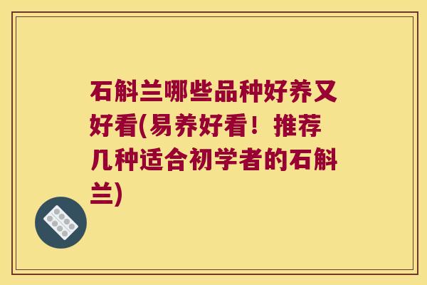 石斛兰哪些品种好养又好看(易养好看！推荐几种适合初学者的石斛兰)