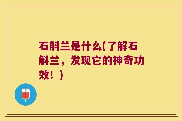 石斛兰是什么(了解石斛兰，发现它的神奇功效！)