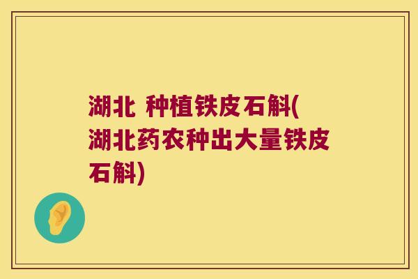 湖北 种植铁皮石斛(湖北药农种出大量铁皮石斛)