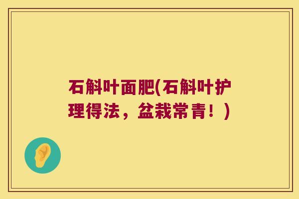 石斛叶面肥(石斛叶护理得法，盆栽常青！)