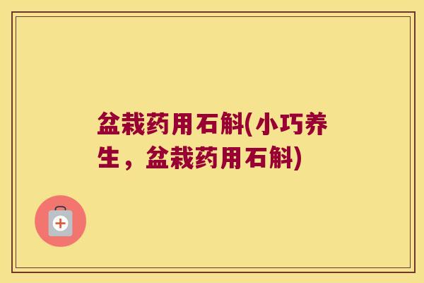盆栽药用石斛(小巧养生，盆栽药用石斛)