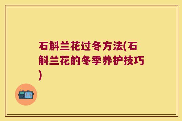 石斛兰花过冬方法(石斛兰花的冬季养护技巧)