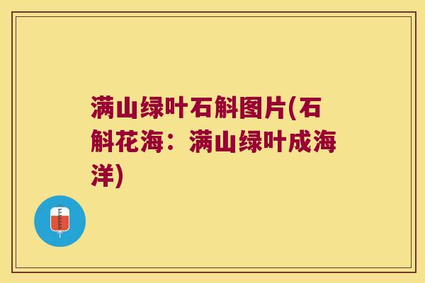 满山绿叶石斛图片(石斛花海：满山绿叶成海洋)