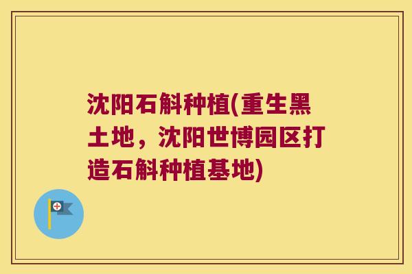沈阳石斛种植(重生黑土地，沈阳世博园区打造石斛种植基地)