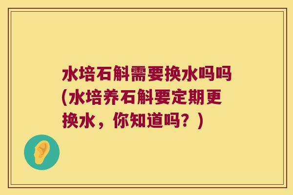 水培石斛需要换水吗吗(水培养石斛要定期更换水，你知道吗？)