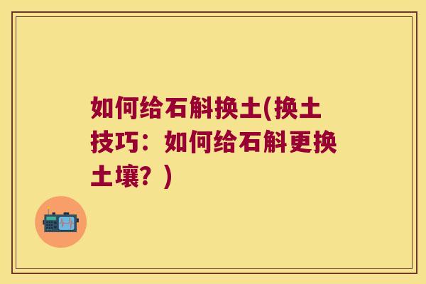 如何给石斛换土(换土技巧：如何给石斛更换土壤？)