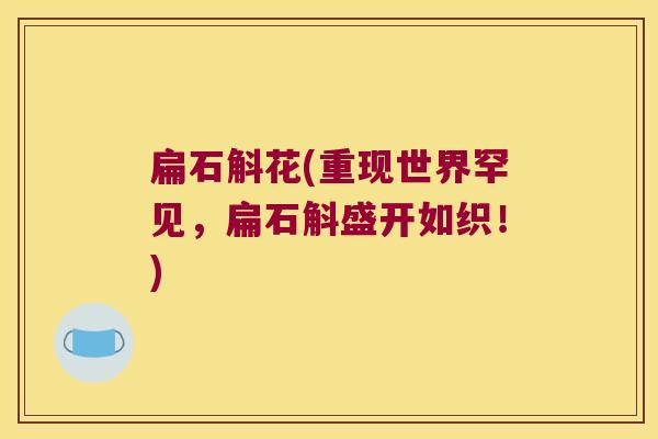 扁石斛花(重现世界罕见，扁石斛盛开如织！)