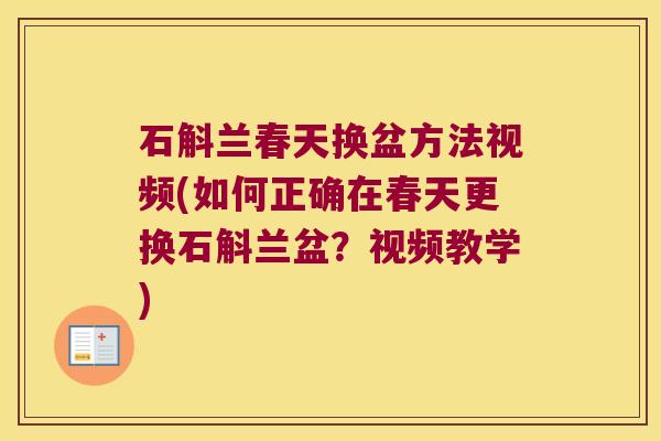 石斛兰春天换盆方法视频(如何正确在春天更换石斛兰盆？视频教学)