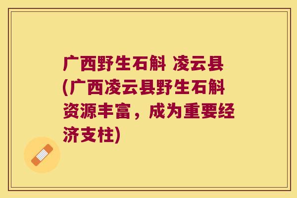 广西野生石斛 凌云县(广西凌云县野生石斛资源丰富，成为重要经济支柱)