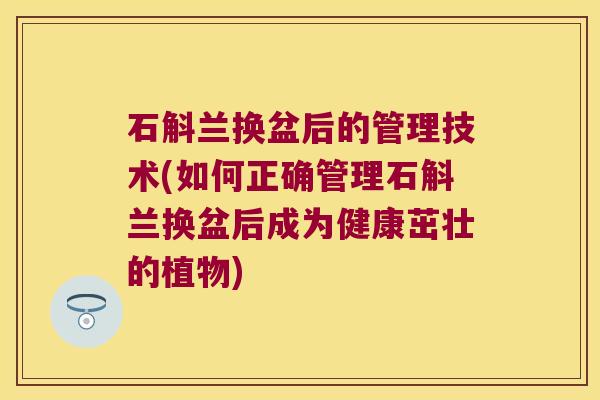 石斛兰换盆后的管理技术(如何正确管理石斛兰换盆后成为健康茁壮的植物)