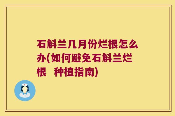 石斛兰几月份烂根怎么办(如何避免石斛兰烂根  种植指南)