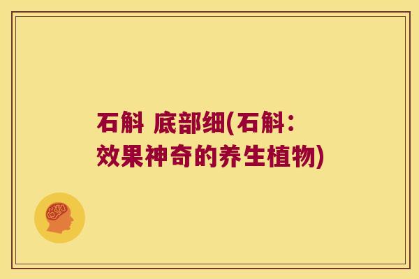 石斛 底部细(石斛：效果神奇的养生植物)
