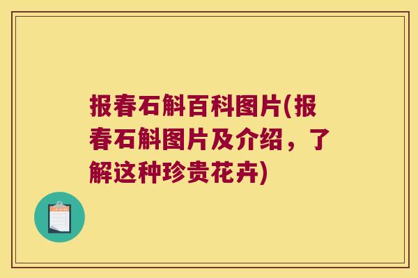 报春石斛百科图片(报春石斛图片及介绍，了解这种珍贵花卉)
