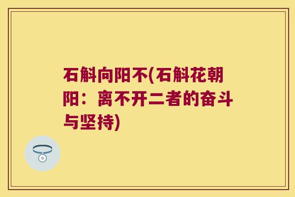 石斛向阳不(石斛花朝阳：离不开二者的奋斗与坚持)