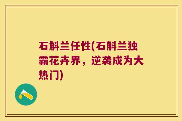 石斛兰任性(石斛兰独霸花卉界，逆袭成为大热门)