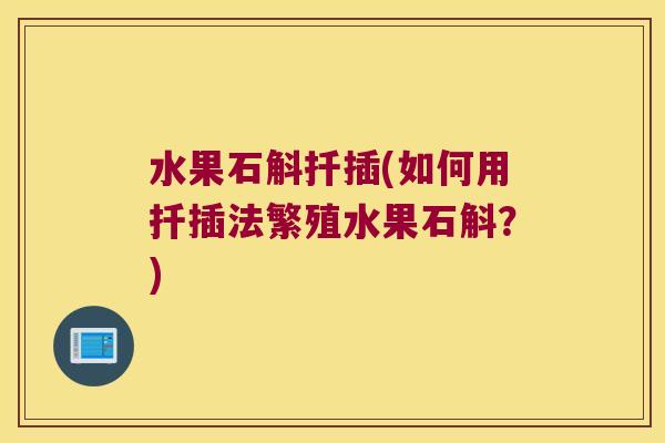 水果石斛扦插(如何用扦插法繁殖水果石斛？)