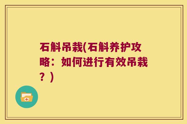 石斛吊栽(石斛养护攻略：如何进行有效吊栽？)