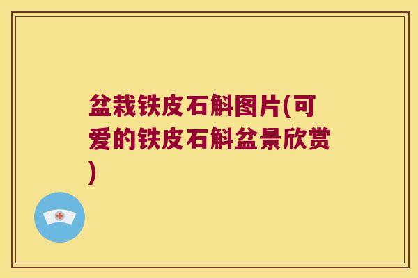 盆栽铁皮石斛图片(可爱的铁皮石斛盆景欣赏)