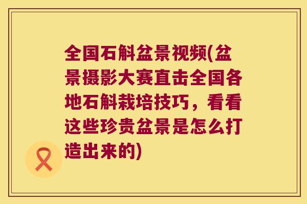 全国石斛盆景视频(盆景摄影大赛直击全国各地石斛栽培技巧，看看这些珍贵盆景是怎么打造出来的)