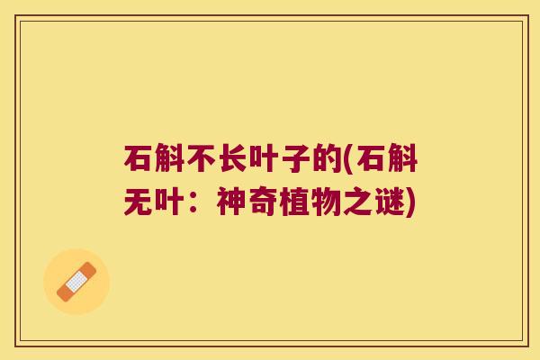 石斛不长叶子的(石斛无叶：神奇植物之谜)