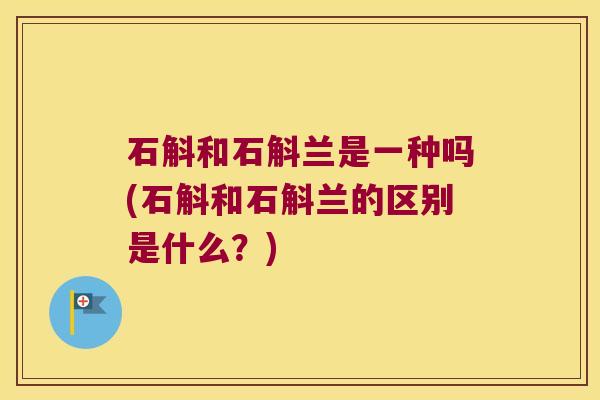 石斛和石斛兰是一种吗(石斛和石斛兰的区别是什么？)
