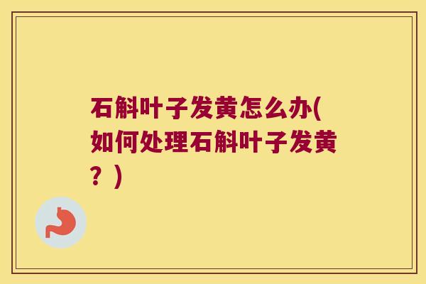 石斛叶子发黄怎么办(如何处理石斛叶子发黄？)