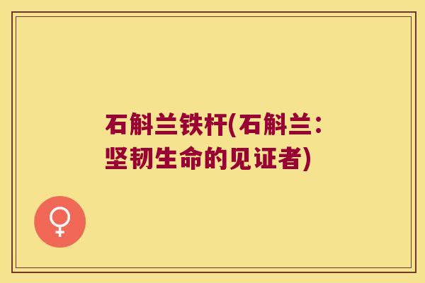 石斛兰铁杆(石斛兰：坚韧生命的见证者)