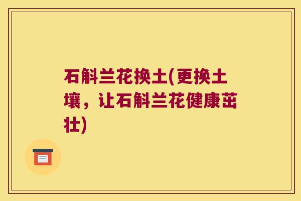 石斛兰花换土(更换土壤，让石斛兰花健康茁壮)