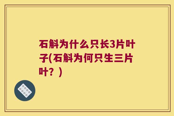 石斛为什么只长3片叶子(石斛为何只生三片叶？)