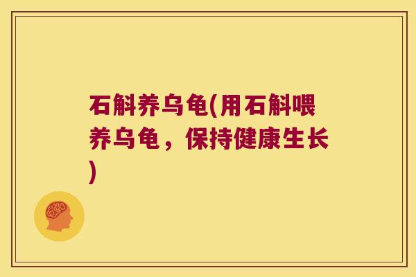 石斛养乌龟(用石斛喂养乌龟，保持健康生长)
