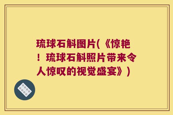 琉球石斛图片(《惊艳！琉球石斛照片带来令人惊叹的视觉盛宴》)