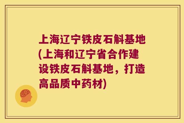 上海辽宁铁皮石斛基地(上海和辽宁省合作建设铁皮石斛基地，打造高品质中药材)