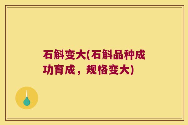 石斛变大(石斛品种成功育成，规格变大)