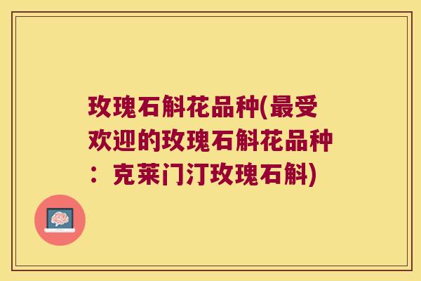 玫瑰石斛花品种(受欢迎的玫瑰石斛花品种：克莱门汀玫瑰石斛)