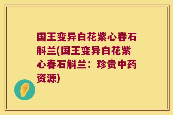 国王变异白花紫心春石斛兰(国王变异白花紫心春石斛兰：珍贵中药资源)