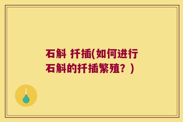 石斛 扦插(如何进行石斛的扦插繁殖？)