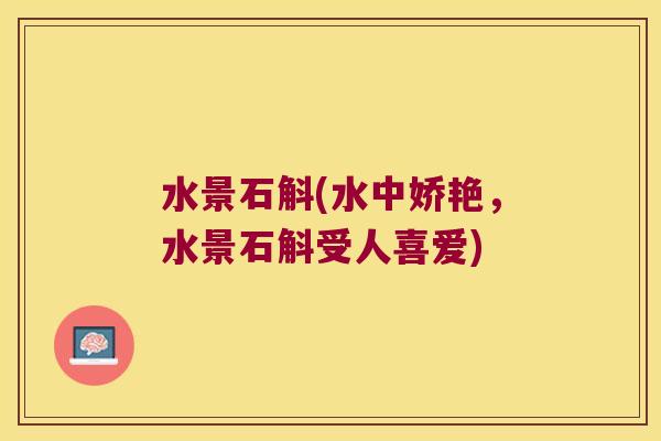 水景石斛(水中娇艳，水景石斛受人喜爱)