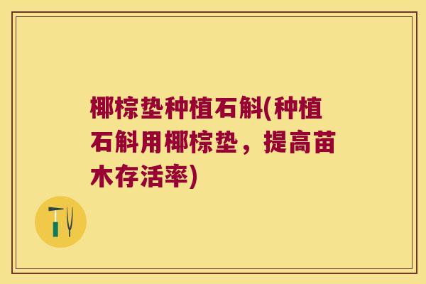 椰棕垫种植石斛(种植石斛用椰棕垫，提高苗木存活率)