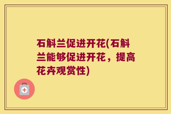 石斛兰促进开花(石斛兰能够促进开花，提高花卉观赏性)