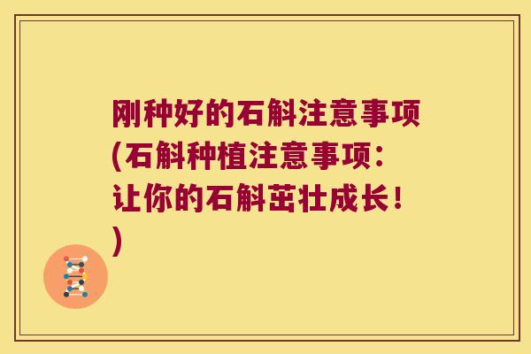 刚种好的石斛注意事项(石斛种植注意事项：让你的石斛茁壮成长！)