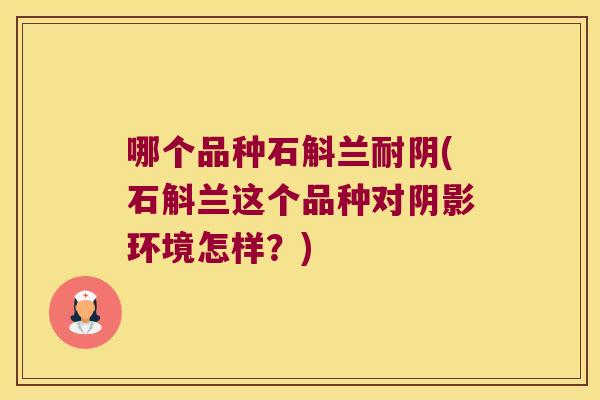 哪个品种石斛兰耐阴(石斛兰这个品种对阴影环境怎样？)