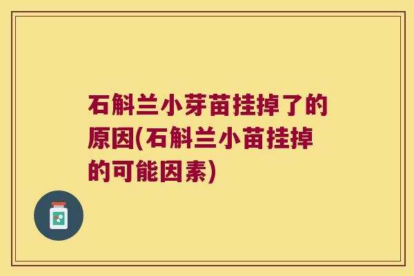 石斛兰小芽苗挂掉了的原因(石斛兰小苗挂掉的可能因素) 石斛兰小芽苗挂掉了的原因(石斛兰小苗挂掉的可能因素)