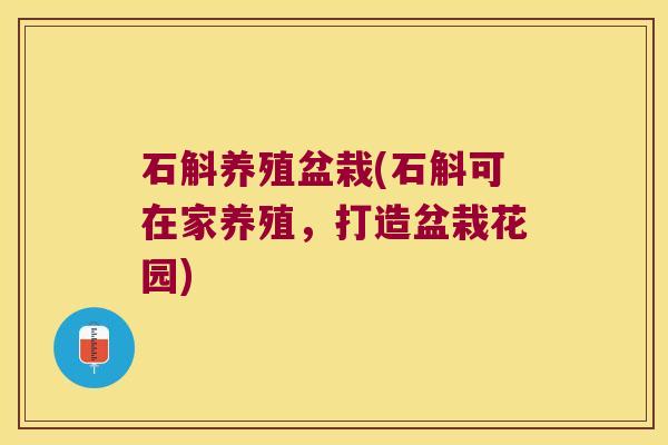 石斛养殖盆栽(石斛可在家养殖,打造盆栽花园) 石斛养殖盆栽(石斛可在家养殖,打造盆栽花园)