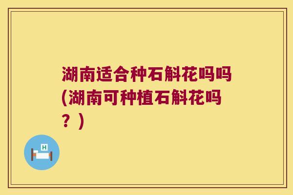 湖南适合种石斛花吗吗(湖南可种植石斛花吗？)