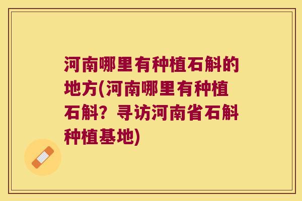 河南哪里有种植石斛的地方(河南哪里有种植石斛？寻访河南省石斛种植基地)